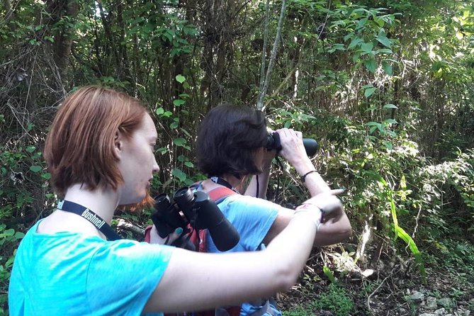 Bird watching ecofriendly tour from Cancun & Riviera Maya - Is $790 per person a good value?