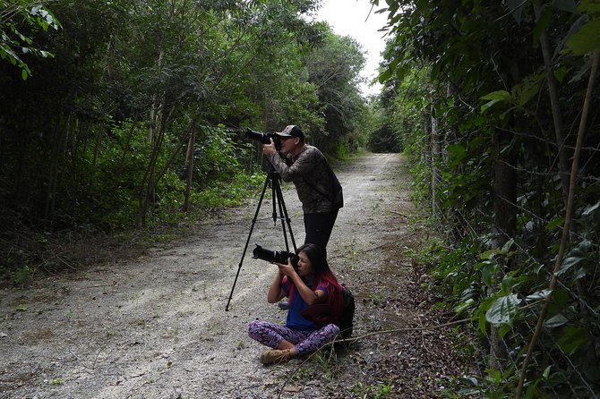 Birds of the Mayan World 2 / Route of the cenotes - Who will enjoy this experience most?