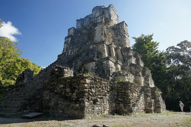 Birds of the Mayan World 3 - Key points at a glance