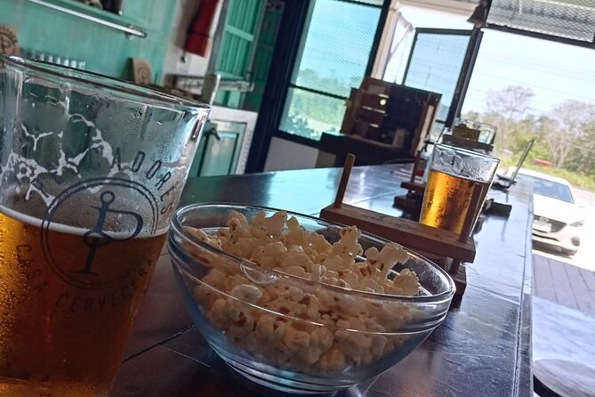 Brewery Tour / Craft Beer Tasting Cancun Mexico - Weather, timing, and cancellation details