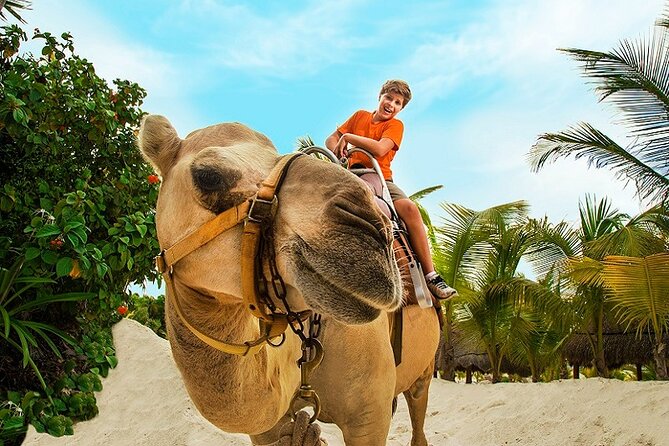Camel Expedition and Beach Club In Riviera Maya - Shared transportation is useful, but allow extra time