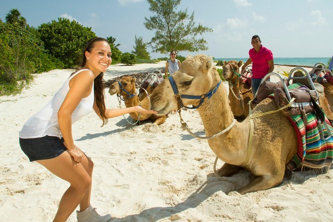 Camel Expedition and Beach Club In Riviera Maya - Is $144 a fair price?