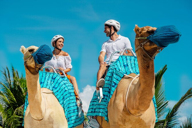 Camel Expedition and Beach Club In Riviera Maya - Meeting the camels at Maroma Beach