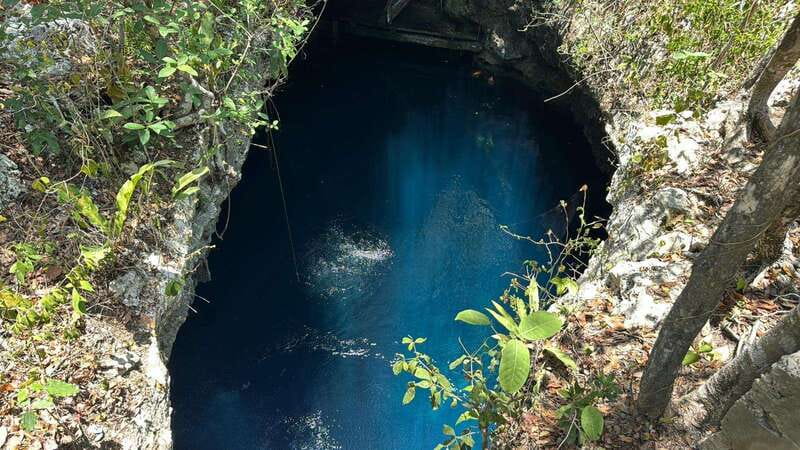 Cancun 2 Cenote Dives: The Pit & Dos Ojos - Certified Divers - What makes Dos Ojos worth the second stop