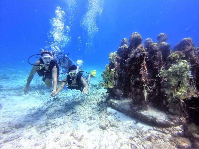 Cancun: 2-Tank Dive for Beginners with MUSA and Reef Dive - Key points to know before booking