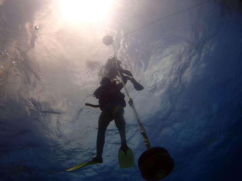 Cancun: 2-Tank Dive for Beginners with MUSA and Reef Dive - What the small group changes