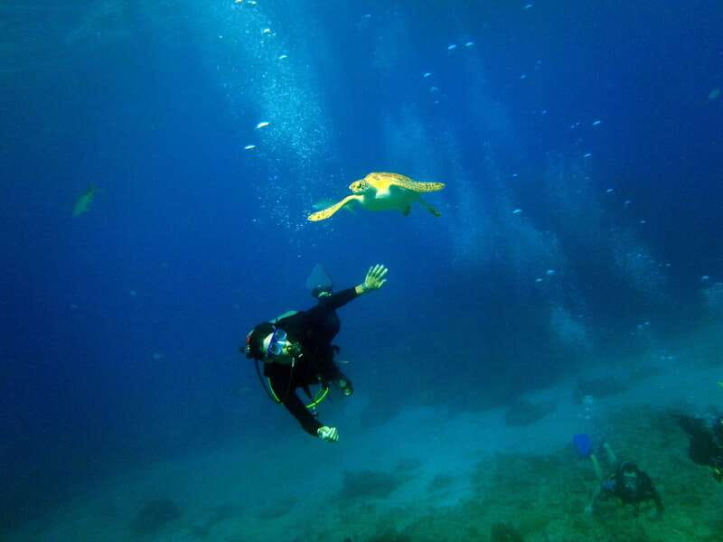 Cancun: 2-Tank Dive for Beginners with MUSA and Reef Dive - Pool practice before open water