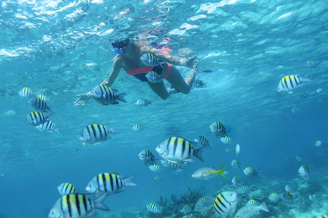 Cancun 4 hour Private Yacht Experience with Lunch and Open Bar Onboard - Weather, timing, and the $10 pier fee