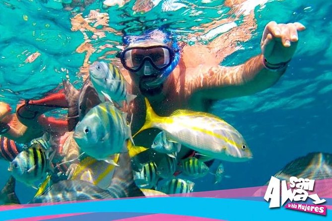 Cancun Adults Only Party Cruise to Isla Mujeres with Open Bar - What this Cancun to Isla Mujeres cruise really offers