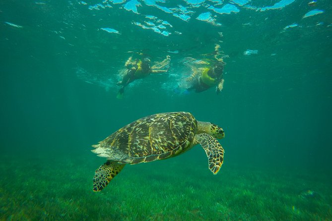 Cancun Adventure: Reef Snorkeling & Parasailing Experience - Timing, waiting, and the real length of the day