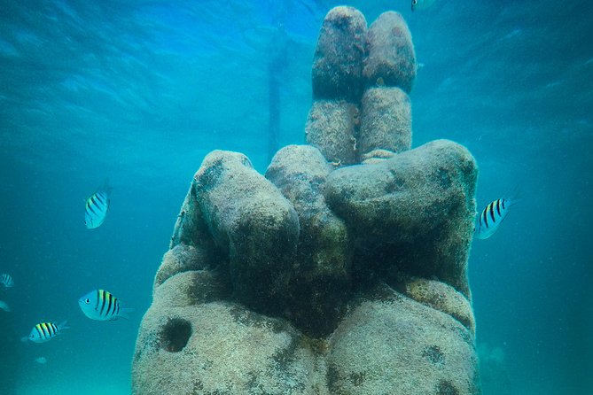 Cancun Adventure: Reef Snorkeling & Parasailing Experience - Four snorkeling stops, four different views