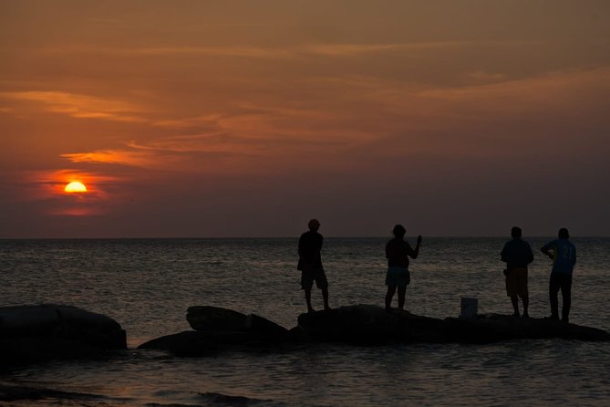 Cancun Airport to Holbox Transportation Private - Comfort, communication, and the small risks