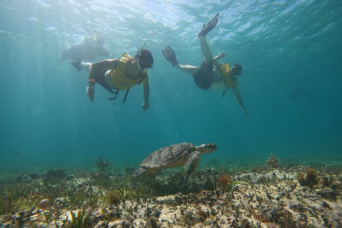 Cancun All Inclusive Catamaran Tour to Isla Mujeres - What this Cancun to Isla Mujeres day is really like