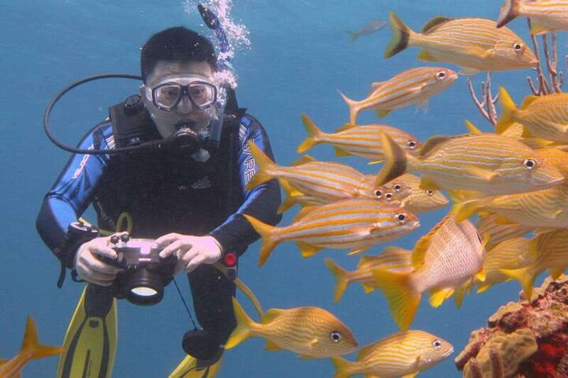 Cancun: Beginner Scuba Diving at Underwater Museum - Seeing the sculptures at the Underwater Museum