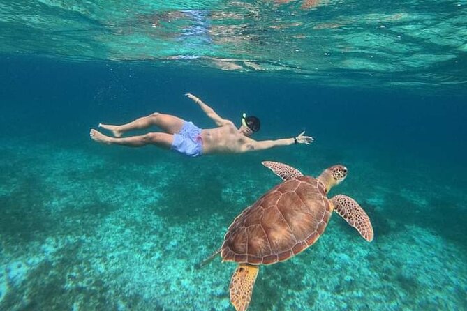 Cancun Catamaran: Sail to Isla Mujeres + Buffet & Drinks - The water stop: snorkeling with a party-boat feel