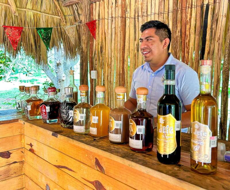 Cancun: Chichen Itza All-Inclusive & Cenote. No hidden fees - Guides and coach comfort
