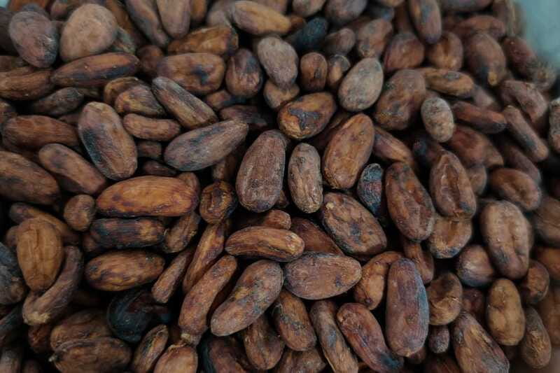 Cancún: Chocolate Making Class and Tasting with Chef - Practical details before you book