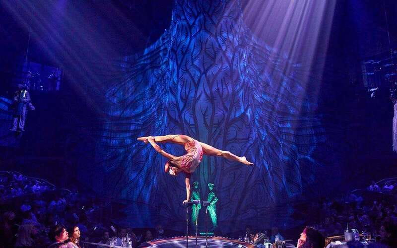 Cancún: Cirque du Soleil JOYÀ Entry Ticket and Transfer - Practical rules that can affect your evening