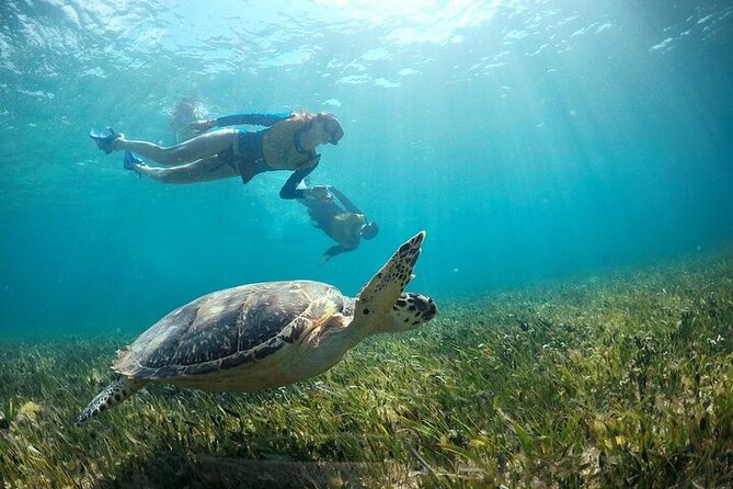 Cancun Combo Adventure: 4 Reef Snorkeling Stops & Parasailing - Pickup from Cancun hotels and the marina routine