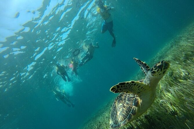 Cancun Combo Adventure: 4 Reef Snorkeling Stops & Parasailing - Is $189 a fair price for this combination?