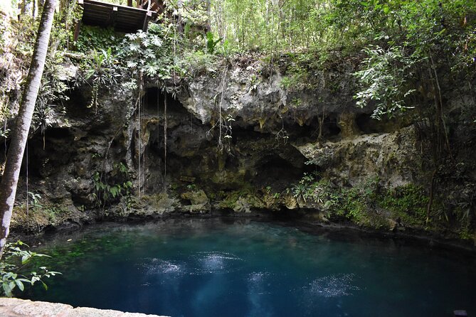 Cancun: Discover the Hidden Treasures: Exploring 3 Jungle Cenotes - The ride from Cancun and the first jungle stop