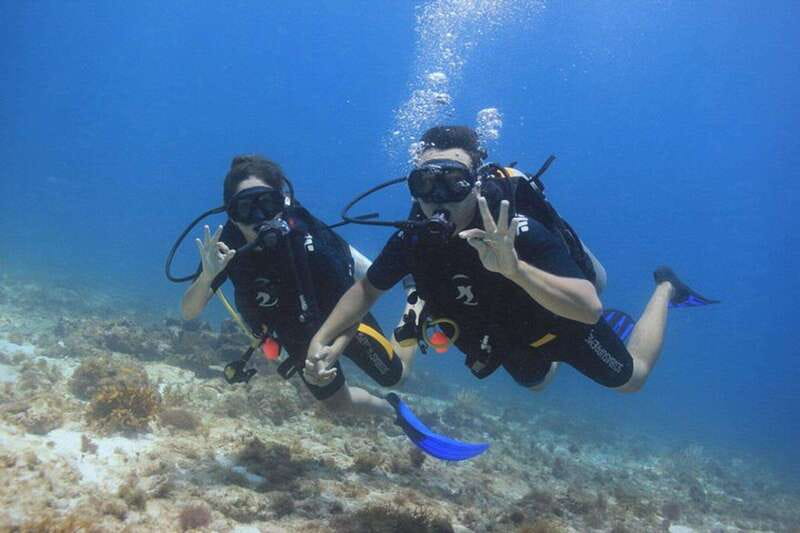 Cancun: Dive Underwater Museum & Manchones Reef - Key points to know before booking
