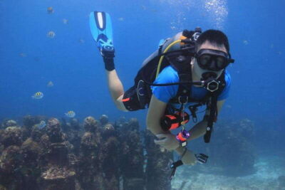 Dive Underwater Museum & Manchones Reef