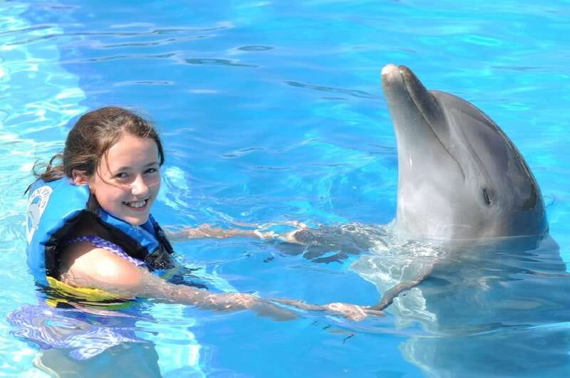 Cancún: Dolphin Encounter on Isla Mujeres with Buffet - Meeting the dolphins on the underwater platform