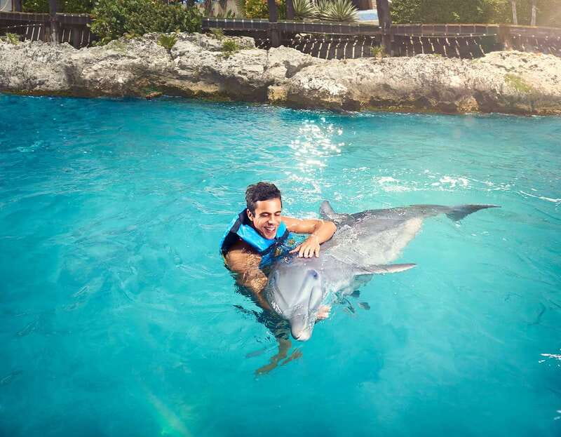 Cancún: Dolphin Encounter on Isla Mujeres with Buffet - Buffet lunch, soft drinks, and a slow afternoon
