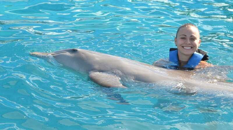 Cancún: Dolphin Encounter on Isla Mujeres with Buffet - Who will enjoy this Isla Mujeres day?