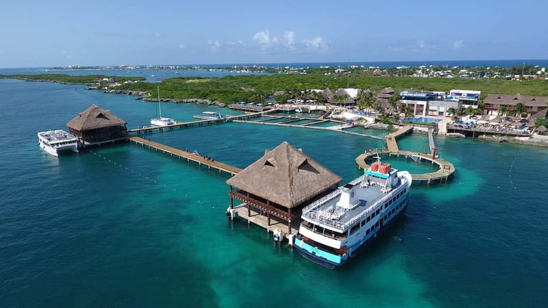 Cancún: Dolphin Encounter on Isla Mujeres with Buffet - Practical advice for making the day smoother