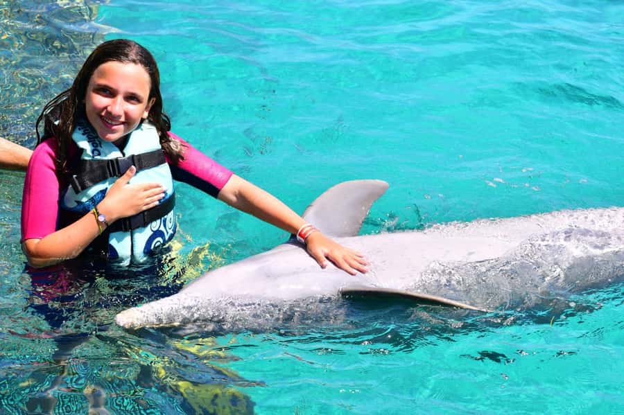 CANCUN: Dolphin Swim Adventure with buffet and soft drinks - Key points to know before booking