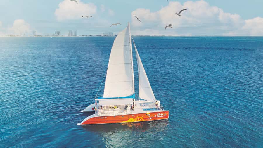CANCUN: Dolphin Swim Adventure with buffet and soft drinks - Who should book this experience?