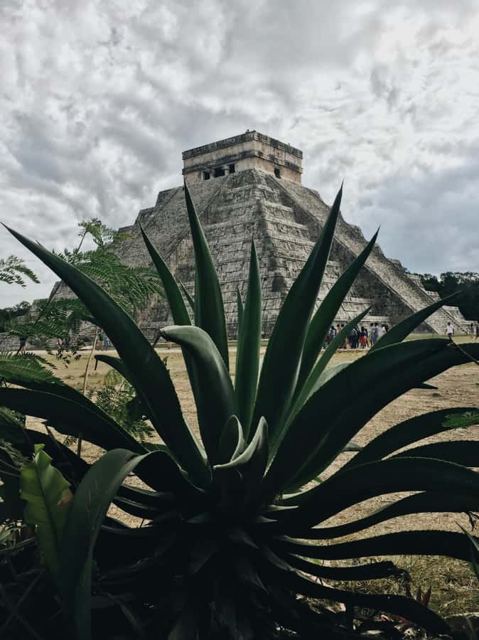 Cancun: Exclusive sunrise at Chichen Itza, expert tour guide - What the $47 price really means