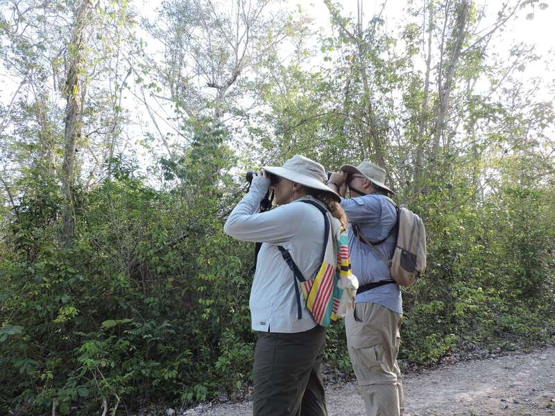 Cancún: Guided Birdwatching Hike - Why this outing gets you beyond the resort zone