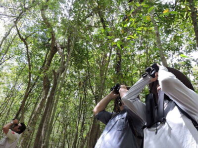 Guided Birdwatching Hike