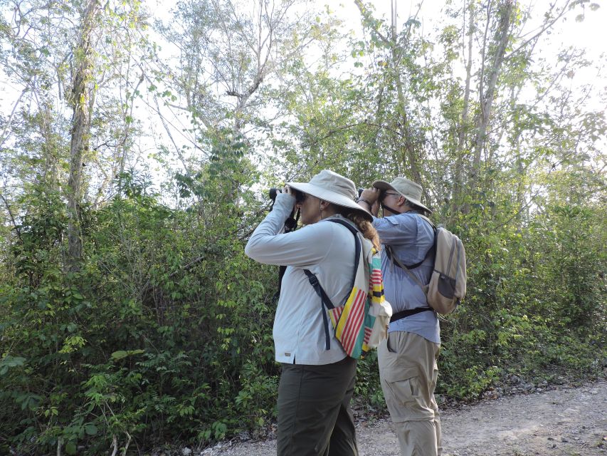 Cancún: Guided Birdwatching Hike - The $169 price: who gets good value