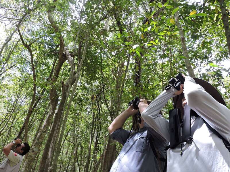 Cancún: Guided Birdwatching Hike - The early start and ride from Cancún