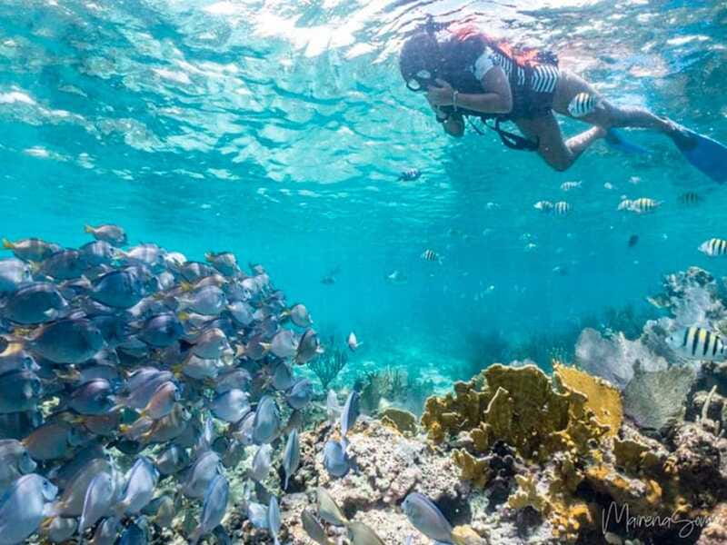 Cancun: Half Day Private Catamaran to Isla Mujeres - Should you book it?