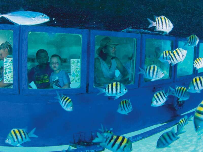 Cancún: Hop-on Hop-off Bus Tour with Submarine Trip - What this Cancún day actually includes