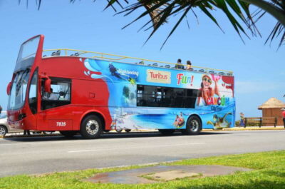 Hop-On-Hop-Off Sightseeing Bus Tour