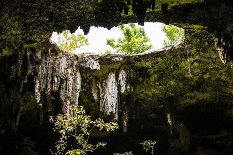Cancun in its entirety: Chichen Itza ruins, cenote, and Valladolid - Cooling off at Cenote Chichikan