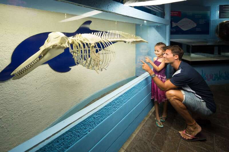 Cancún: Interactive Aquarium Admission - What your $17 admission actually covers