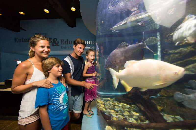 Cancún: Interactive Aquarium Admission - Why the touch tanks are the best part