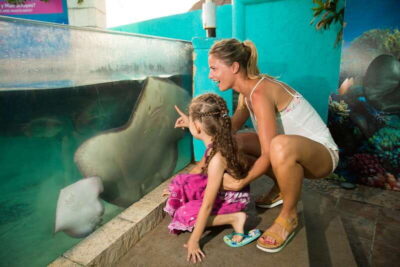 Interactive Aquarium Admission