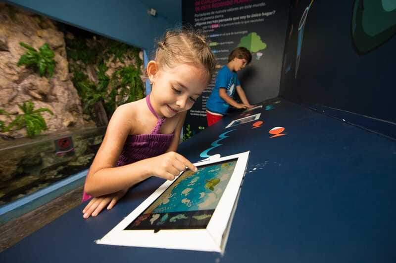 Cancún: Interactive Aquarium Admission - The axolotl and iPad exhibits