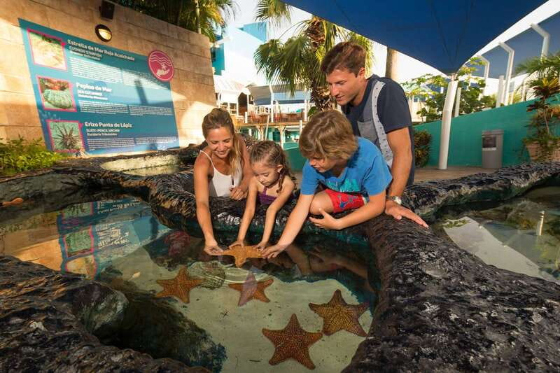 Cancún: Interactive Aquarium Admission - How long should you plan to stay?