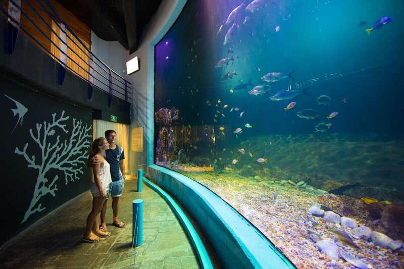 Cancún: Interactive Aquarium Admission - Who will get the most from this aquarium?