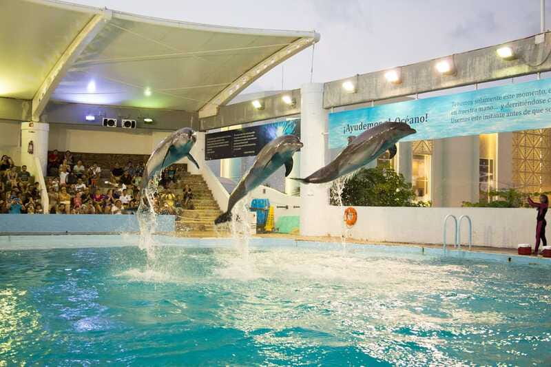 Cancún Interactive Aquarium Admission + Dolphin Presentation - The 7 pm dolphin presentation