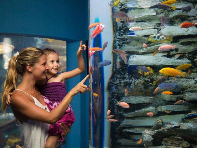 Cancún Interactive Aquarium Admission + Dolphin Presentation - Practical planning for your visit